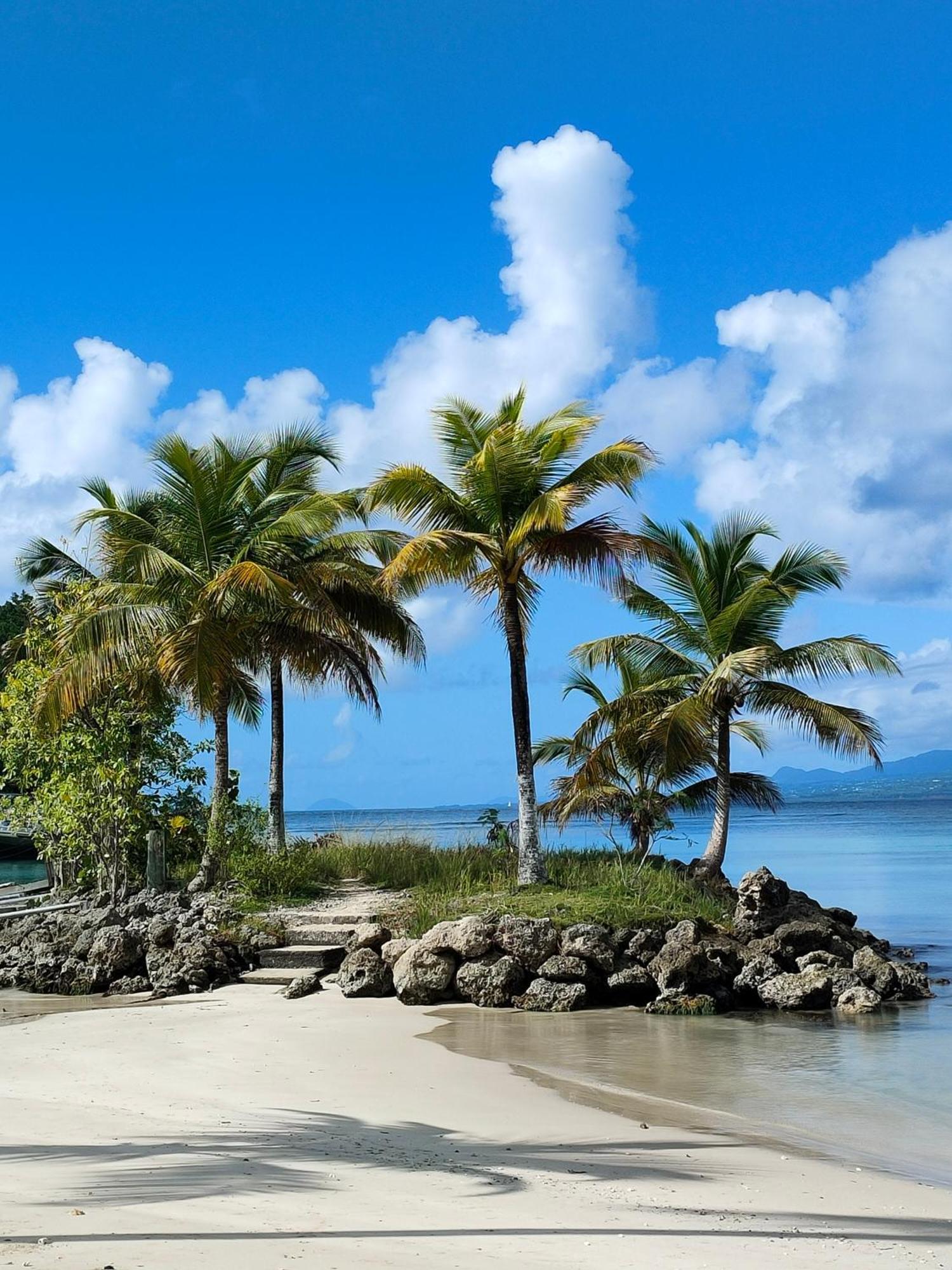 Studio Vue Mer, Pieds Dans L'Eau Le Gosier (Grande-Terre) Exterior foto