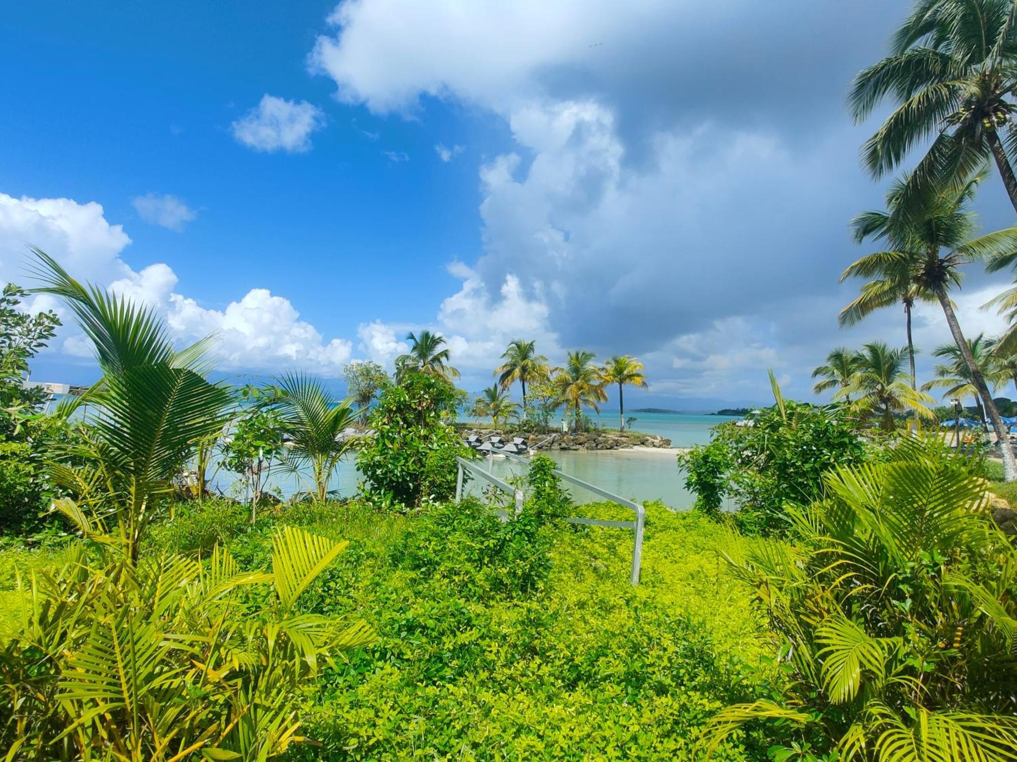 Studio Vue Mer, Pieds Dans L'Eau Le Gosier (Grande-Terre) Exterior foto